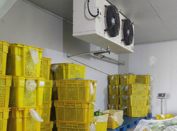 連云港保鮮冷庫安裝設(shè)計