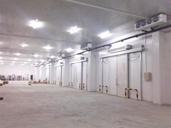 連云港超低溫冷庫(kù)安裝